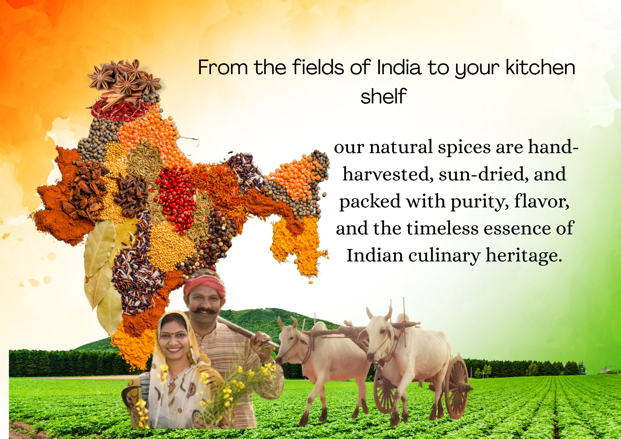 Indian spices